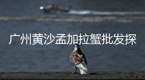 上海黄沙滩日出时间表、上海航头镇黄沙码头在哪、上海嘉定搬水泥黄沙的工人、供应黄沙石子上海地区