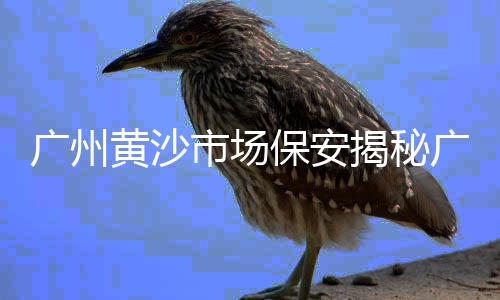 水泥市场行情资料、山东水泥罐车交易市场、水泥行业市场深度分析论文、成都水泥建筑材料市场