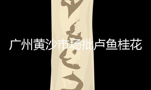 上海装泥车落下石子、上海石子滩露营地点、石子坑补漆上海哪家好点、上海青石子加工厂
