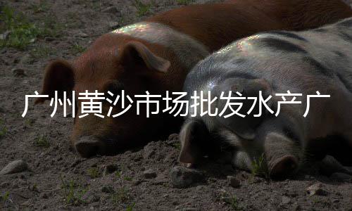 上海节能石子仓、上海石子价格行情、上海再生石子回收电话、上海石子到港价