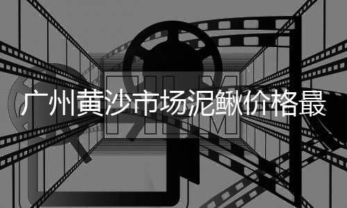 上海水泥空间拍照、上海水泥井盖公司电话、上海水泥罐车锥体报价、上海水泥仿木纹栅栏