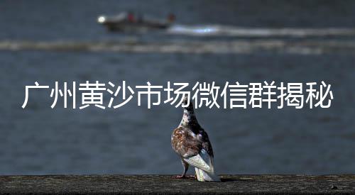 石子批发厂家零售电话号码、北京批发零售水泥砂石子、零售水泥沙子石子厂家、荣昌哪里有零售石子卖的