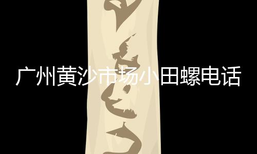上海水泥砌块砖生产厂家、上海水泥厂的真实照片、上海水泥公园艺术节、上海水泥牌楼价格表