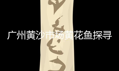 镇安零售水泥价格表查询、乌衣有没有水泥零售、宁波市沙子水泥批发零售、汉阳水泥沙零售电话地址