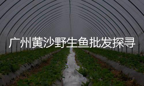 东丽周边石子批发零售、附近石子零售店、柯桥石子零售配送、唐山便宜的石子零售