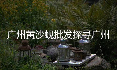 上海水洗石子、上海工地石子采购、上海临港石子、上海石子黄沙品牌