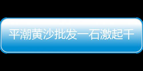 地坪水泥黄沙自流平价格、广西收购黄沙鳖价格、红安县黄沙价格、今日湖南常德黄沙价格
