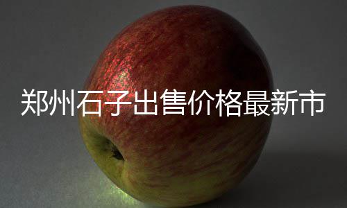 阜阳沙子石子市场、河北哪里有卖条石子的市场、青岛二手石子市场在哪里、石子山市下午市场开门吗