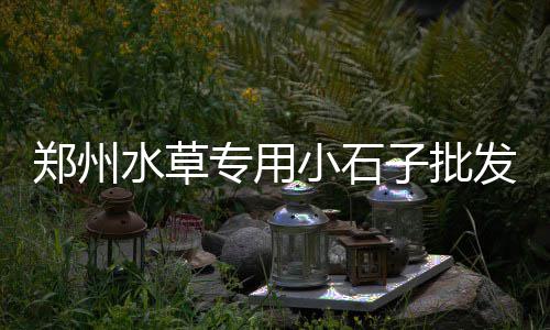 孝感黄沙批发、河南信阳黄沙批发价、奉贤有批发黄沙水泥、新会睦州黄沙蚬批发
