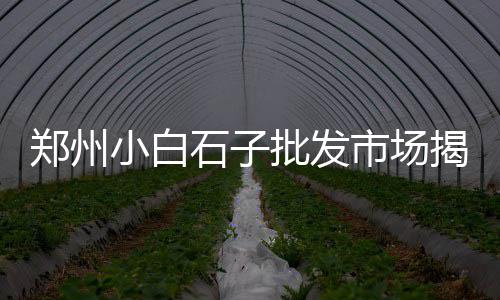 广州黄沙市场三蚊鱼价格、黄沙市场泥鳅价格表图片、黄沙市场田鸡价格表最新、广州黄沙市场摆摊时间表