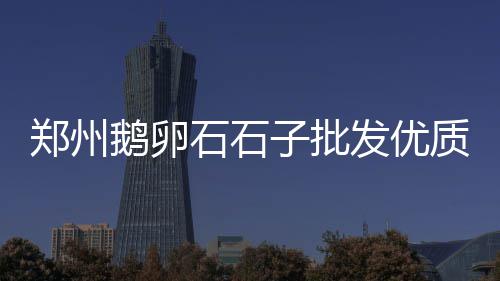 上海再生红石子批发厂家、上海建筑回收价石子、上海收购石子的厂家、上海石子坑修复厂