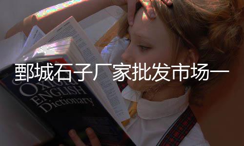 黄沙文具批发有胸牌卖吗、惠南镇黄沙石子水泥批发、宁海水泥黄沙批发厂家电话、广州黄沙水产批发老板怎赚钱的