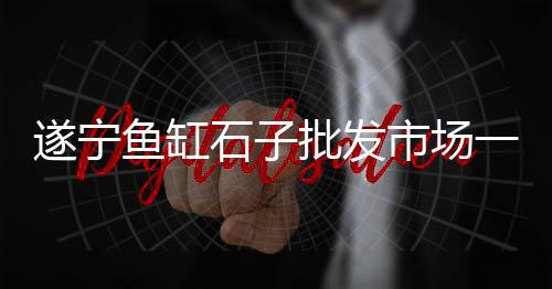 台州石子沙零售、高速石子料批发零售、武清周边石子批发零售、河西周边石子零售