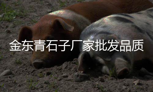 天津彩色石子批发零售店、市北区石子零售店在哪里、璧山石子零售市场地址查询、沙水泥石子砖批发零售