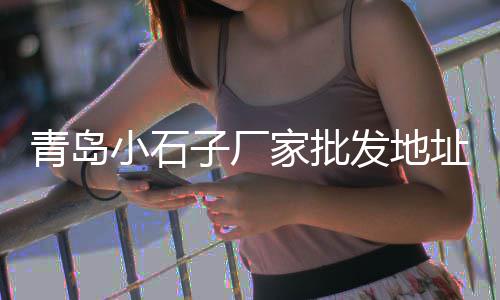 鱼缸小石子批发厂家、临沂石头石子批发、酒吧白色石子批发、批发收沙子石子