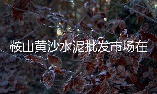 上海黑色石子厂家地址、上海常规石子仓大概费用、上海哪里有石子浴池洗澡、上海石子运输车厂家