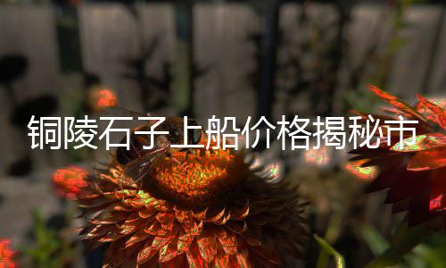 天津水泥沙子零售商、都匀白水泥批发零售、苏丰建材水泥批发零售、湖北水泥拆包机零售厂家