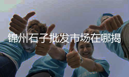 广州市黄沙市场会宰人吗、黄沙市场商住楼出租信息、黄沙市场鳝鱼价格表图片、黄沙市场小孩卖鱼的店