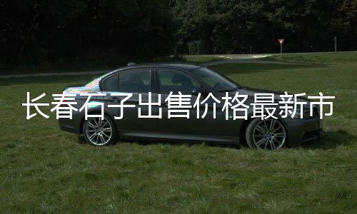 同城石子批发、碎石子批发江苏、白石子批发好看、绍兴建材石子批发