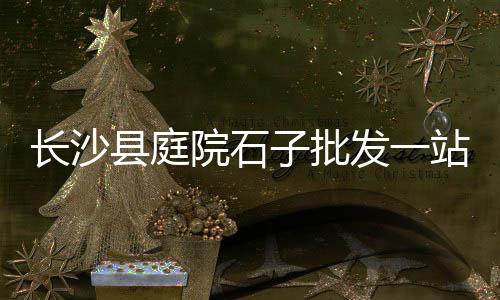 滨河新区石子价格、若羌石子价格、河西石子价格、石子筛网价格