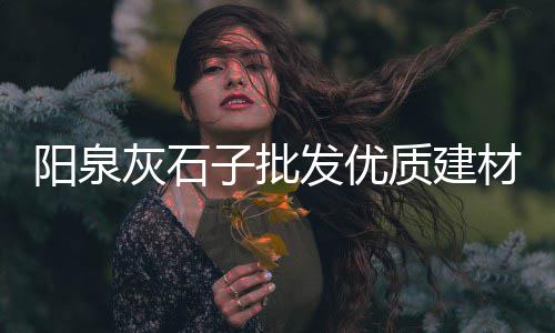 浙江上海景观地铺石白石子、嘉兴上海地区收购石子企业、上海南市区石子街、上海花岗岩石子加工厂