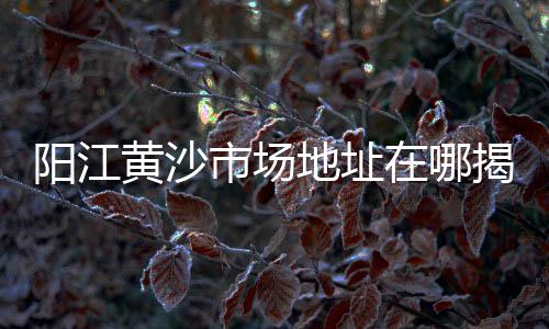 郑州小白石子批发市场、染色小石子批发、庭院黑色石子批发、小石子批发diy