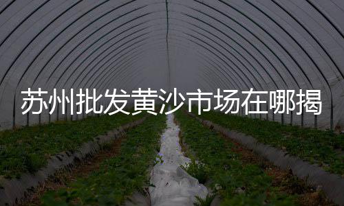 阿克苏市水泥运输市场、水泥市场影响因素、水泥的市场结构、市场水泥调研报告