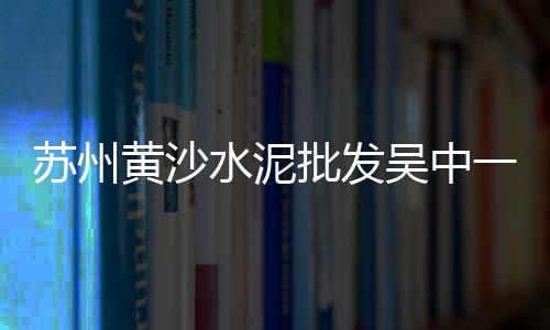 山东水泥联锁砖批发、批发陶瓷水泥、邕宁水泥批发、宜阳水泥批发