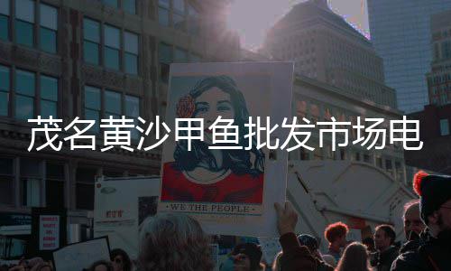 滑县修路石子价格、济南石子制砂机价格表、江西碳酸钙石子价格、虎丘区直销石子价格