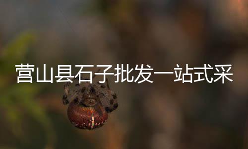 合肥黄沙水泥批发零售、华容黄沙零售、零售水泥黄沙、新沂黄沙零售