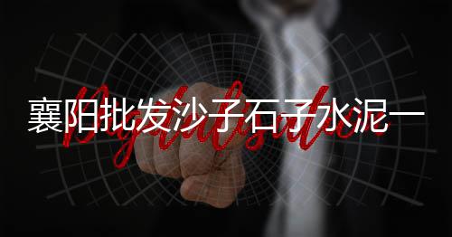 银川水泥移动房价格、南阳水泥护坡砖型号价格、山西水泥脱硝剂价格、德州水泥地板价格多少