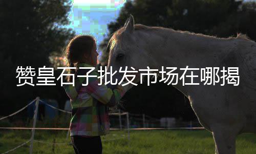 崇州龙达水泥砖批发、商洛水泥批发、微水泥的批发、清远批发水泥