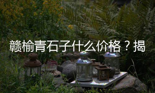 兰州市石子价格、嘉兴高钙石子价格、2020年河南石子价格、渣土车拉石子价格