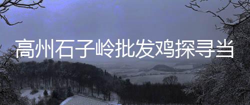 上海石子机、上海安山岩石子价格、上海正规石子仓网上价格、上海常见石子仓网上价格