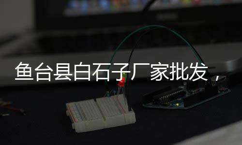 银川水泥市场行情、沈阳的沙子水泥市场、水泥砖市场开发、中安市场水泥批发