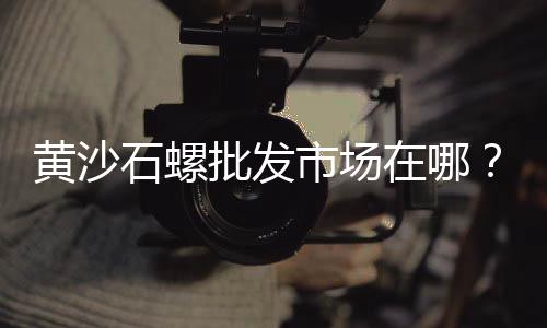 重庆院子石子批发、内江市石子批发厂家、石子批发店铺电话地址、黄沙石子水泥批发安吉