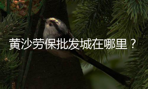 周口石子零售电话、榆次修路用石子批发零售、芜湖批发零售石子店地址、商丘石子零售店地址