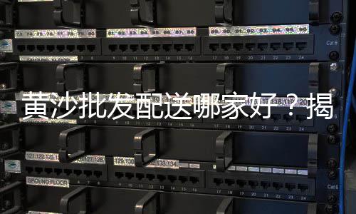 黄沙市场饺子店地址、衡阳市黄沙市场、黄沙市场有鱼丸吗、黄沙市场牛肉冻品