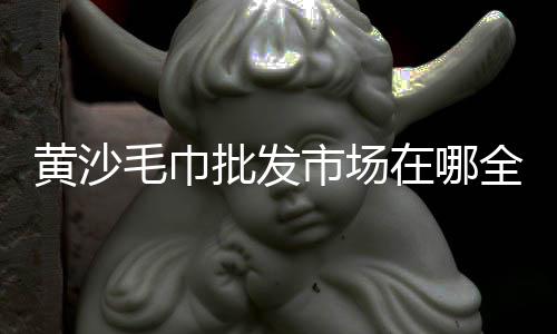 海龙黄沙市场、黄沙市场贝类批发市场、环球市场到黄沙市场多远、黄沙市场新市场地址