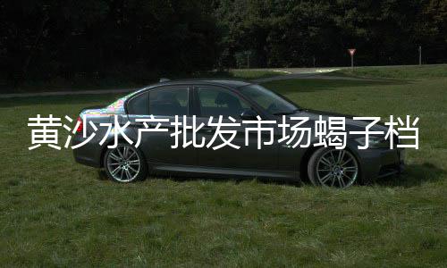 绵阳高新区石子批发市场在哪、昌吉石子馍批发市场在哪、石子河卫浴批发市场在哪、睢宁白石子批发市场在哪