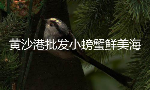 2024水泥市场研判、盐津水泥批发市场地址、焦作水泥门头砖批发市场、乌石浦水泥批发市场