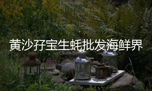 自贡水泥条批发、山西农村水泥化粪池批发、拱墅区白水泥批发地址、水泥台灯厂家批发价