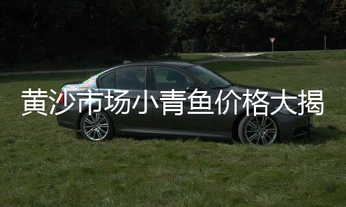上海水泥搅拌站有哪些、上海水泥盖板制造商、上海水泥罐车二手、上海水泥仿木紫藤架