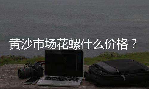 上海黄浦江石子大老板、上海普陀区石子厂家电话、上海石子价格表2023最新价格、上海进口石子仓值多少钱