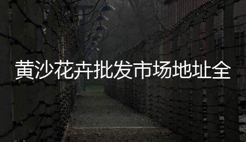 上海黄沙车倒事件、上海黄沙水泥配送中心、黄沙到上海日出时间、上海家装黄沙砖