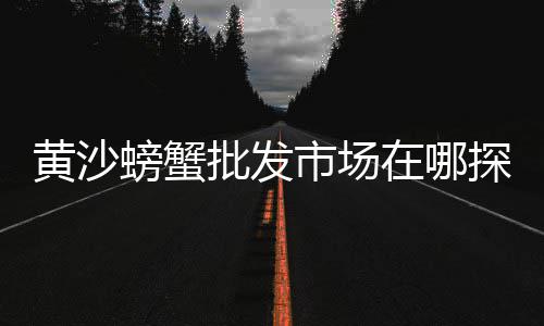 上海水泥黄沙送货上门、上海黄沙现在一吨多少钱、上海杨浦区有黄沙水族馆吗、黄沙现在多少钱一方上海