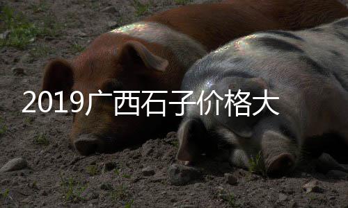 哪里有零售水泥毯的店、广元市水泥零售点电话、博兴硅酸盐水泥批发零售、杭州水泥沙子零售点